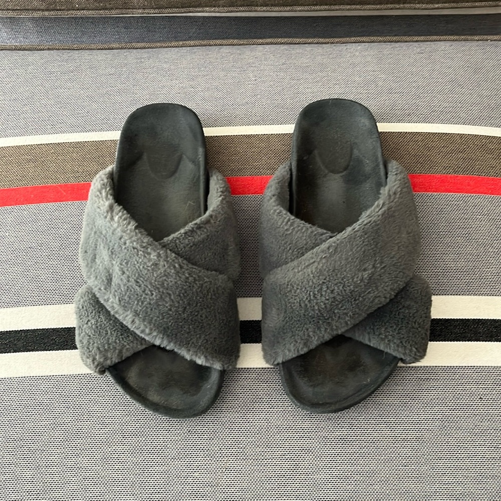 Last chance!  Birdies Robin slides